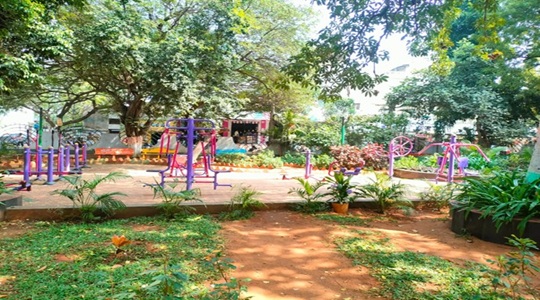 Park Image