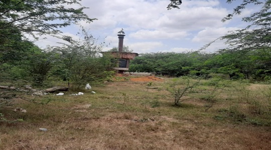 Park Image